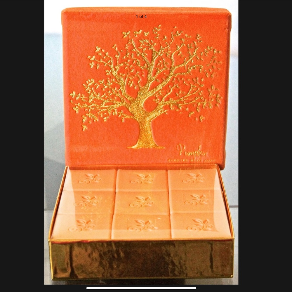 PUMPKIN SOAP SET COMMONWEALTH CST SCENTED